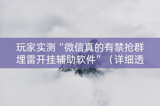 玩家实测“微信真的有禁抢群埋雷开挂辅助软件”（详细透视教程）-哔哩哔哩