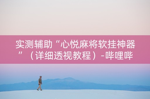 实测辅助“心悦麻将软挂神器”（详细透视教程）-哔哩哔哩