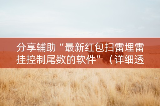 分享辅助“最新红包扫雷埋雷挂控制尾数的软件”（详细透视教程）-哔哩哔哩