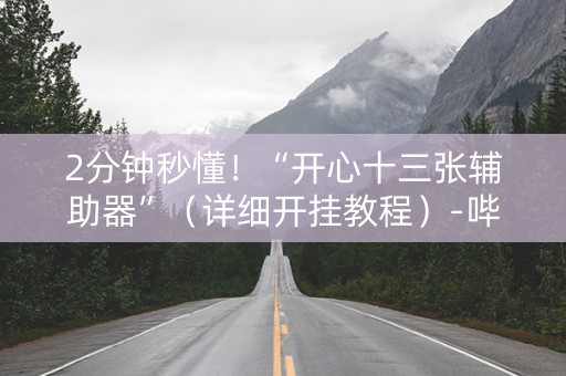 2分钟秒懂！“开心十三张辅助器”（详细开挂教程）-哔哩哔哩