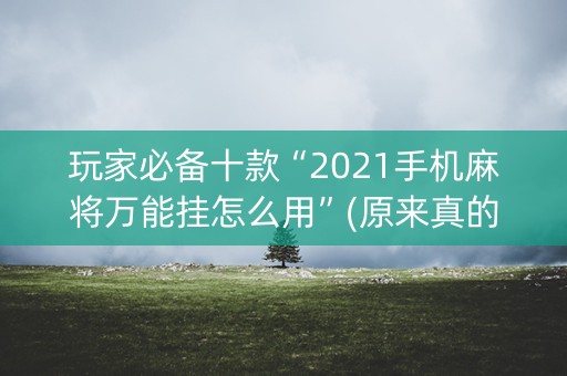玩家必备十款“2021手机麻将万能挂怎么用”(原来真的有挂)-知乎