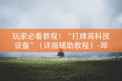 玩家必看教程！“打牌高科技设备”（详细辅助教程）-哔哩哔哩