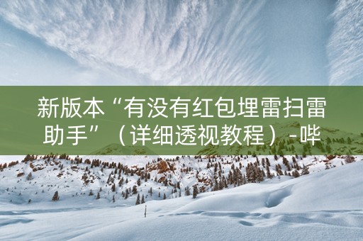 新版本“有没有红包埋雷扫雷助手”（详细透视教程）-哔哩哔哩