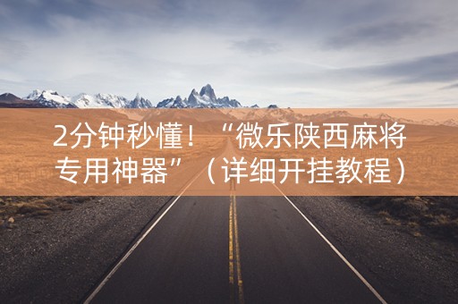 2分钟秒懂！“微乐陕西麻将专用神器”（详细开挂教程）-哔哩哔哩