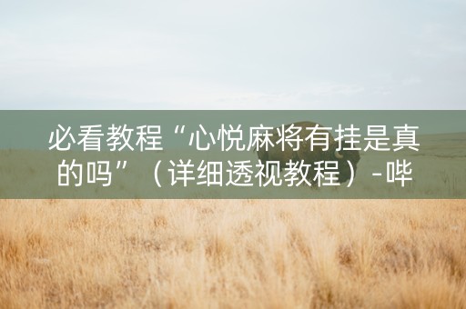 必看教程“心悦麻将有挂是真的吗”（详细透视教程）-哔哩哔哩
