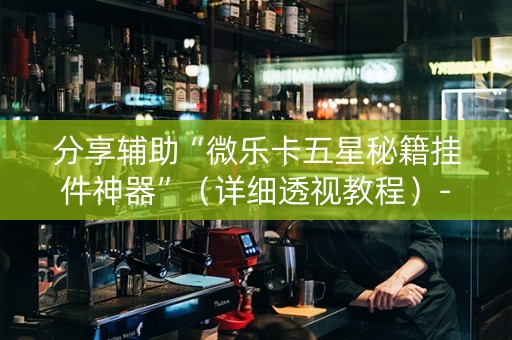 分享辅助“微乐卡五星秘籍挂件神器”（详细透视教程）-哔哩哔哩