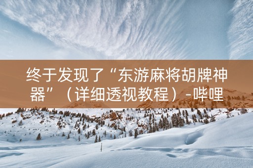 终于发现了“东游麻将胡牌神器”（详细透视教程）-哔哩哔哩