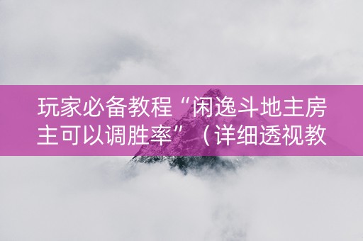 玩家必备教程“闲逸斗地主房主可以调胜率”（详细透视教程）-哔哩哔哩