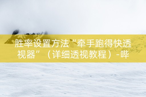 胜率设置方法“牵手跑得快透视器”（详细透视教程）-哔哩哔哩