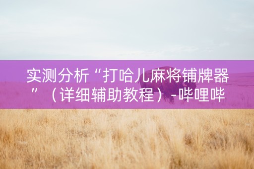 实测分析“打哈儿麻将铺牌器”（详细辅助教程）-哔哩哔哩