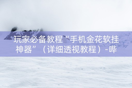 玩家必备教程“手机金花软挂神器”（详细透视教程）-哔哩哔哩