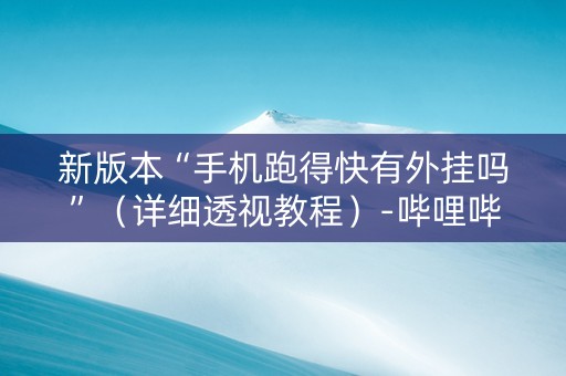 新版本“手机跑得快有外挂吗”（详细透视教程）-哔哩哔哩