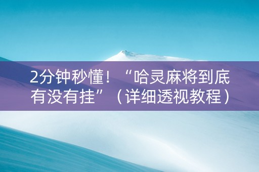 2分钟秒懂！“哈灵麻将到底有没有挂”（详细透视教程）-哔哩哔哩