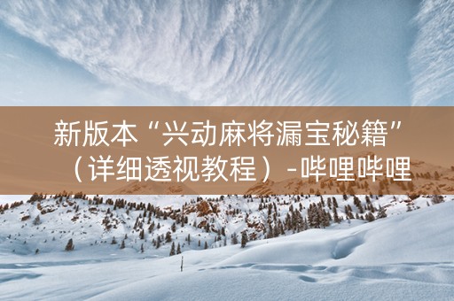新版本“兴动麻将漏宝秘籍”（详细透视教程）-哔哩哔哩