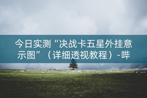 今日实测“决战卡五星外挂意示图”（详细透视教程）-哔哩哔哩