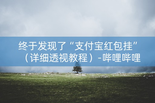 终于发现了“支付宝红包挂”（详细透视教程）-哔哩哔哩