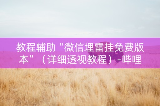 教程辅助“微信埋雷挂免费版本”（详细透视教程）-哔哩哔哩