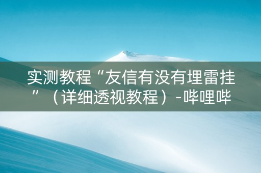 实测教程“友信有没有埋雷挂”（详细透视教程）-哔哩哔哩