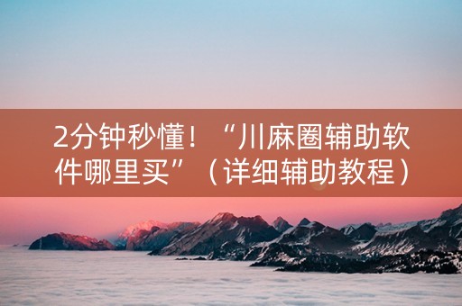 2分钟秒懂！“川麻圈辅助软件哪里买”（详细辅助教程）-哔哩哔哩