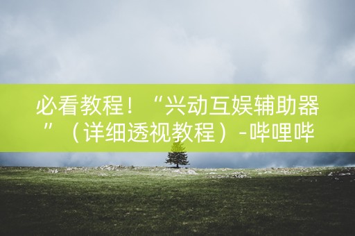 必看教程！“兴动互娱辅助器”（详细透视教程）-哔哩哔哩