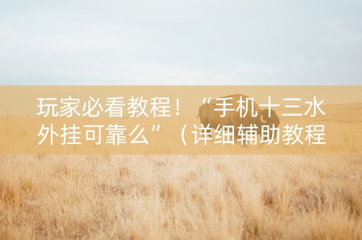 玩家必看教程！“手机十三水外挂可靠么”（详细辅助教程）-哔哩哔哩