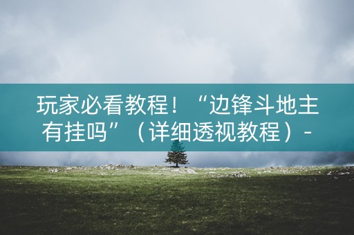 玩家必看教程！“边锋斗地主有挂吗”（详细透视教程）-哔哩哔哩