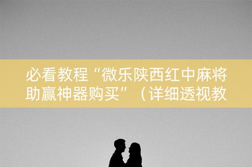 必看教程“微乐陕西红中麻将助赢神器购买”（详细透视教程）-哔哩哔哩