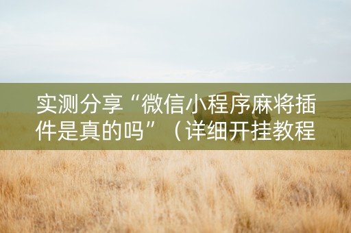 实测分享“微信小程序麻将插件是真的吗”（详细开挂教程）-哔哩哔哩