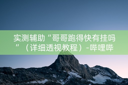 实测辅助“哥哥跑得快有挂吗”（详细透视教程）-哔哩哔哩