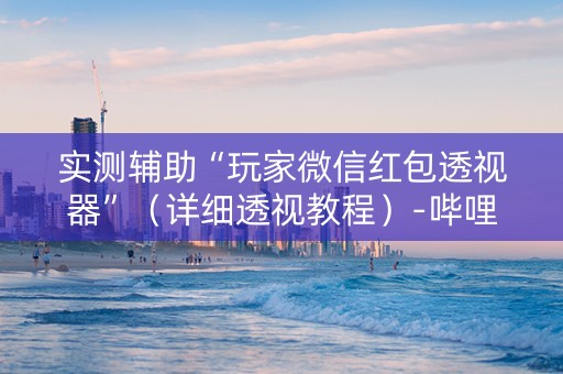 实测辅助“玩家微信红包透视器”（详细透视教程）-哔哩哔哩