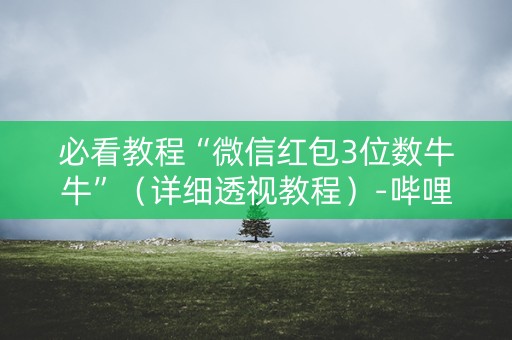必看教程“微信红包3位数牛牛”（详细透视教程）-哔哩哔哩