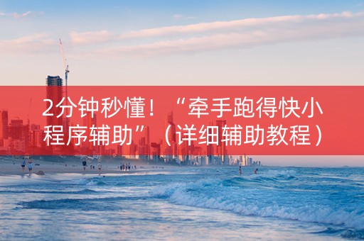 2分钟秒懂！“牵手跑得快小程序辅助”（详细辅助教程）-哔哩哔哩