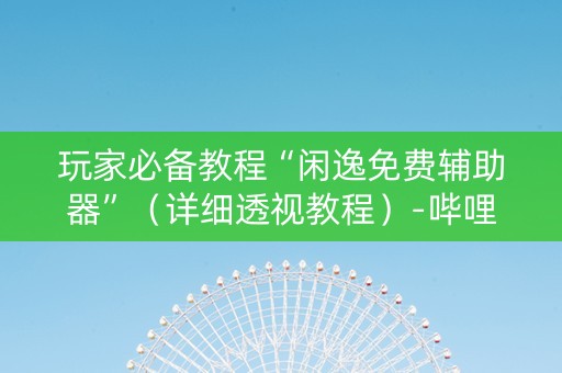 玩家必备教程“闲逸免费辅助器”（详细透视教程）-哔哩哔哩