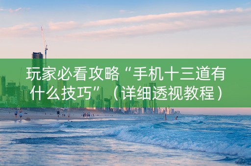 玩家必看攻略“手机十三道有什么技巧”（详细透视教程）-哔哩哔哩
