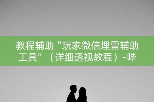 教程辅助“玩家微信埋雷辅助工具”（详细透视教程）-哔哩哔哩