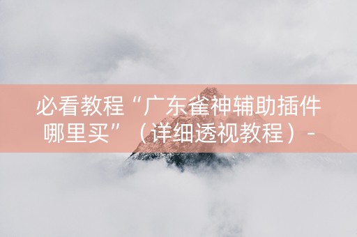 必看教程“广东雀神辅助插件哪里买”（详细透视教程）-哔哩哔哩