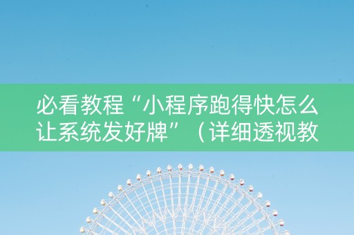 必看教程“小程序跑得快怎么让系统发好牌”（详细透视教程）-哔哩哔哩