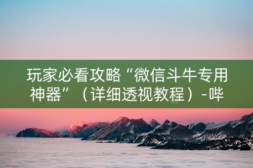 玩家必看攻略“微信斗牛专用神器”（详细透视教程）-哔哩哔哩