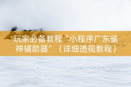 玩家必备教程“小程序广东雀神辅助器”（详细透视教程）-哔哩哔哩