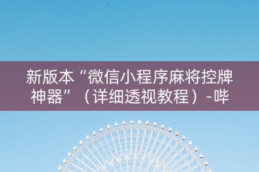 新版本“微信小程序麻将控牌神器”（详细透视教程）-哔哩哔哩