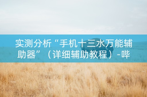 实测分析“手机十三水万能辅助器”（详细辅助教程）-哔哩哔哩