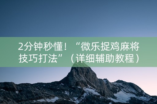 2分钟秒懂！“微乐捉鸡麻将技巧打法”（详细辅助教程）-哔哩哔哩