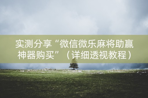 实测分享“微信微乐麻将助赢神器购买”（详细透视教程）-哔哩哔哩