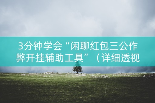 3分钟学会“闲聊红包三公作弊开挂辅助工具”（详细透视教程）-哔哩哔哩