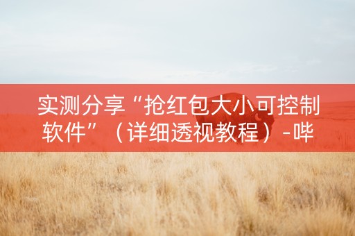 实测分享“抢红包大小可控制软件”（详细透视教程）-哔哩哔哩