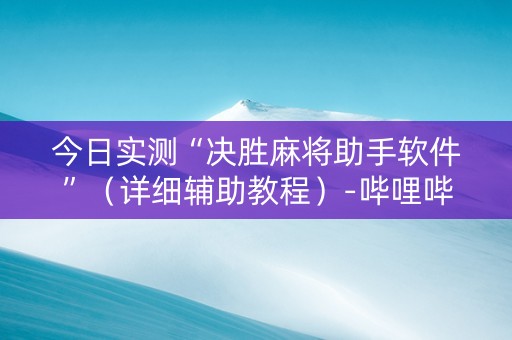 今日实测“决胜麻将助手软件”（详细辅助教程）-哔哩哔哩