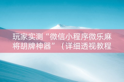 玩家实测“微信小程序微乐麻将胡牌神器”（详细透视教程）-哔哩哔哩
