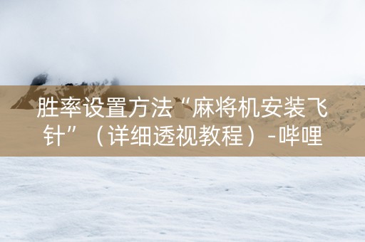 胜率设置方法“麻将机安装飞针”（详细透视教程）-哔哩哔哩