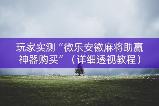 玩家实测“微乐安徽麻将助赢神器购买”（详细透视教程）-哔哩哔哩