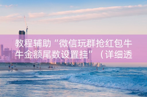 教程辅助“微信玩群抢红包牛牛金额尾数设置挂”（详细透视教程）-哔哩哔哩